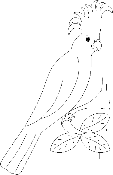 Disegno da colorare: Pappagallo (Animali) #16092 - Pagine da Colorare Stampabili Gratuite