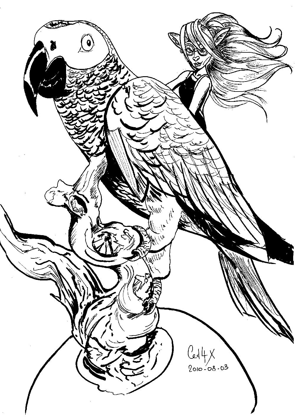 Disegno da colorare: Pappagallo (Animali) #16242 - Pagine da Colorare Stampabili Gratuite
