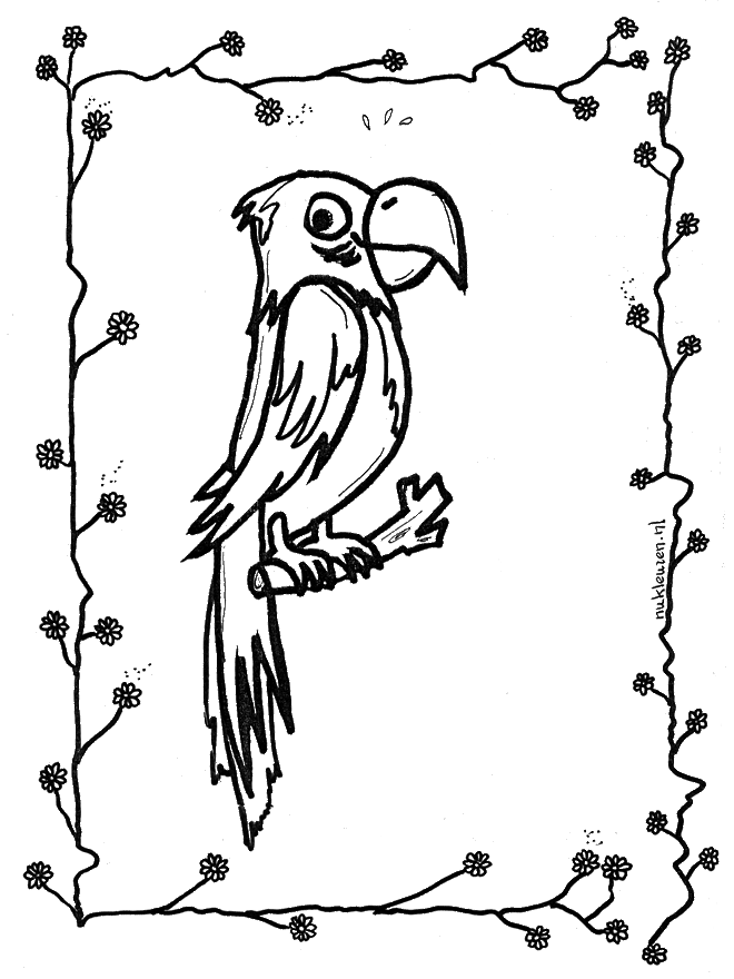 Disegno da colorare: Pappagallo (Animali) #16245 - Pagine da Colorare Stampabili Gratuite