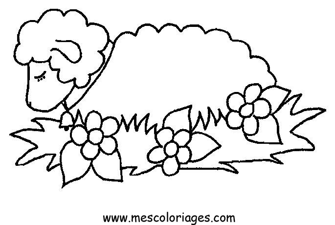 Disegno da colorare: Pecora (Animali) #11391 - Pagine da Colorare Stampabili Gratuite