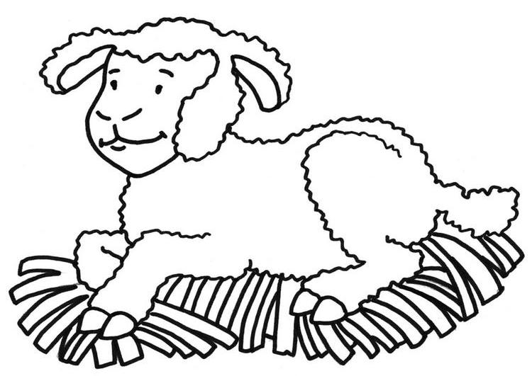 Disegno da colorare: Pecora (Animali) #11405 - Pagine da Colorare Stampabili Gratuite