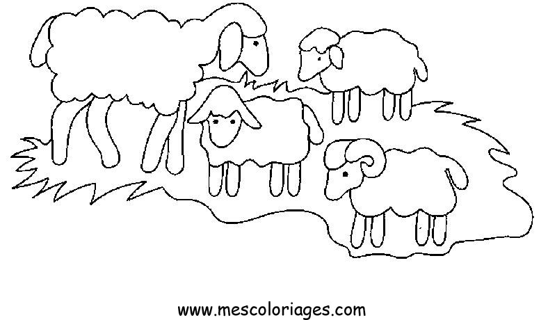 Disegno da colorare: Pecora (Animali) #11414 - Pagine da Colorare Stampabili Gratuite