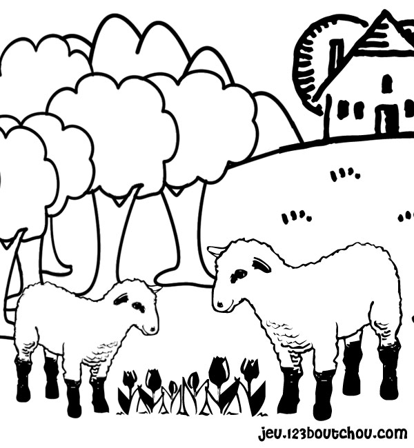 Disegno da colorare: Pecora (Animali) #11416 - Pagine da Colorare Stampabili Gratuite