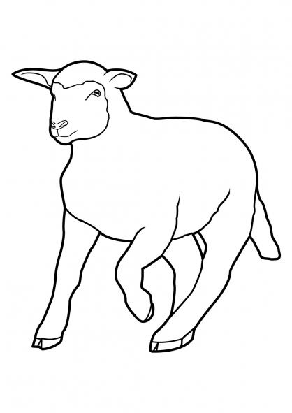 Disegno da colorare: Pecora (Animali) #11428 - Pagine da Colorare Stampabili Gratuite