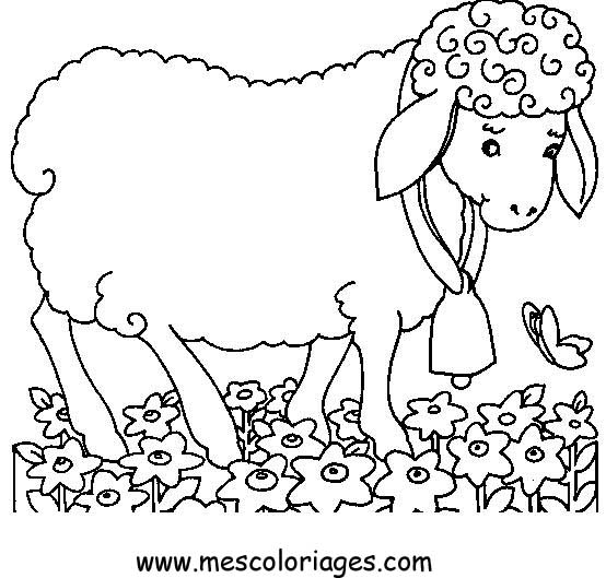 Disegno da colorare: Pecora (Animali) #11429 - Pagine da Colorare Stampabili Gratuite