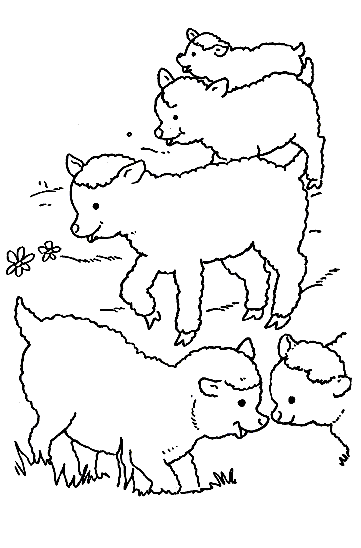 Disegno da colorare: Pecora (Animali) #11431 - Pagine da Colorare Stampabili Gratuite