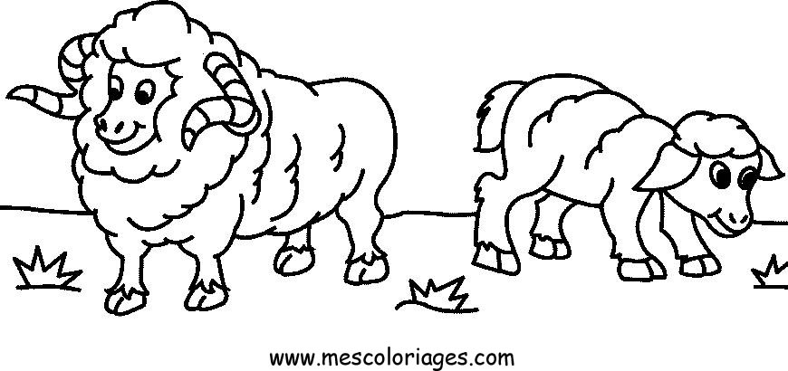 Disegno da colorare: Pecora (Animali) #11456 - Pagine da Colorare Stampabili Gratuite