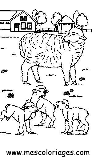 Disegno da colorare: Pecora (Animali) #11474 - Pagine da Colorare Stampabili Gratuite