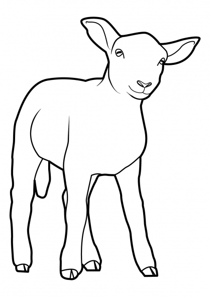 Disegno da colorare: Pecora (Animali) #11502 - Pagine da Colorare Stampabili Gratuite