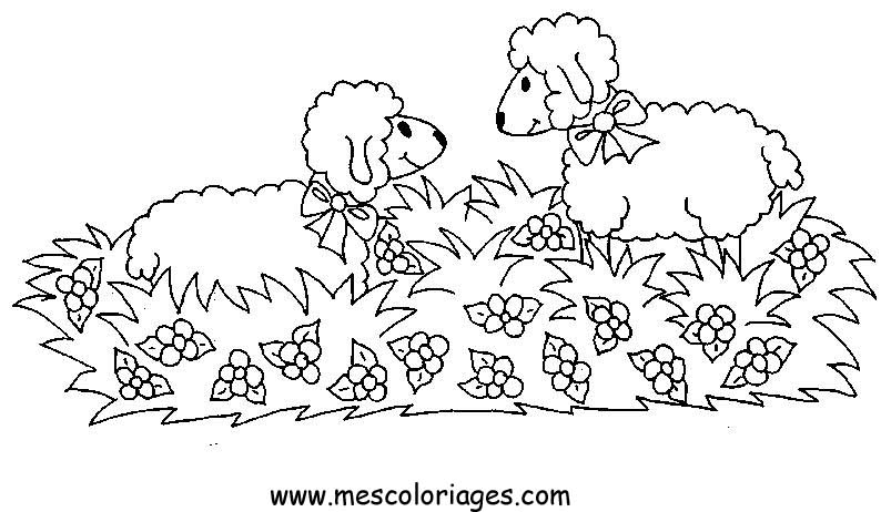 Disegno da colorare: Pecora (Animali) #11516 - Pagine da Colorare Stampabili Gratuite
