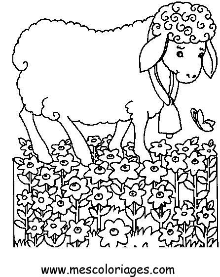 Disegno da colorare: Pecora (Animali) #11533 - Pagine da Colorare Stampabili Gratuite