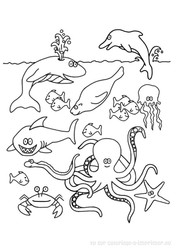 Disegno da colorare: Pescare (Animali) #17036 - Pagine da Colorare Stampabili Gratuite