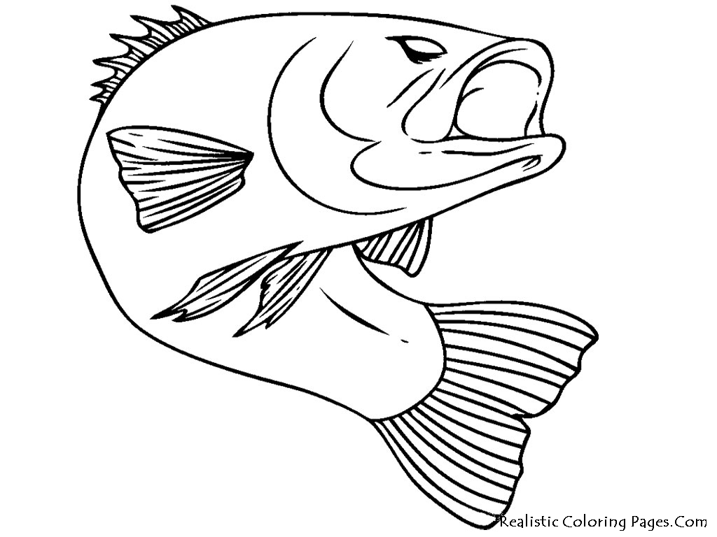Disegno da colorare: Pescare (Animali) #17040 - Pagine da Colorare Stampabili Gratuite
