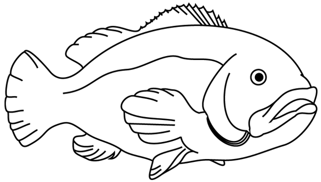 Disegno da colorare: Pescare (Animali) #17124 - Pagine da Colorare Stampabili Gratuite