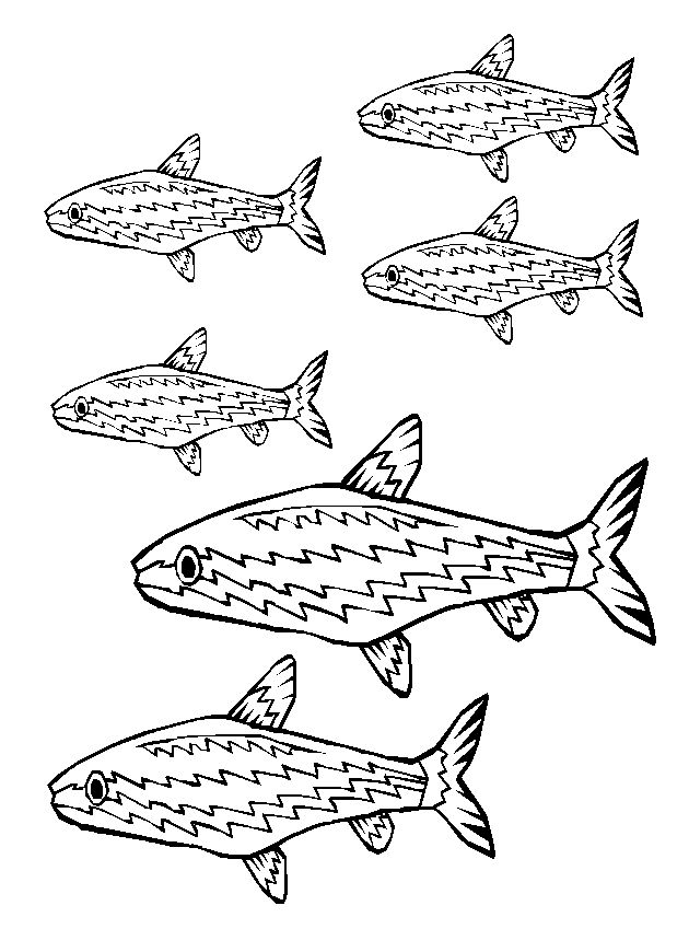 Disegno da colorare: Pescare (Animali) #17179 - Pagine da Colorare Stampabili Gratuite