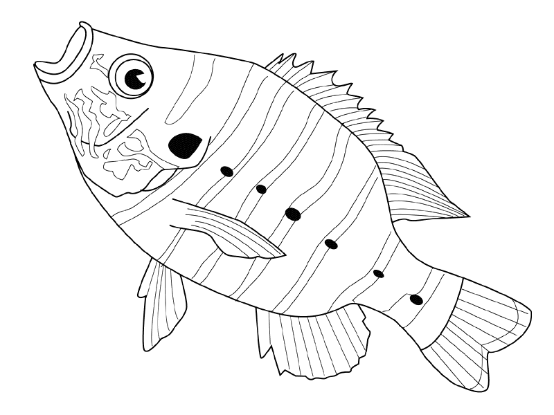 Disegno da colorare: Pescare (Animali) #17201 - Pagine da Colorare Stampabili Gratuite
