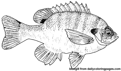 Disegno da colorare: Pescare (Animali) #17211 - Pagine da Colorare Stampabili Gratuite