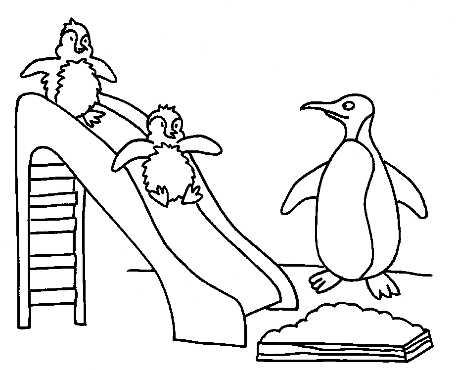 Disegno da colorare: Pinguino (Animali) #16825 - Pagine da Colorare Stampabili Gratuite