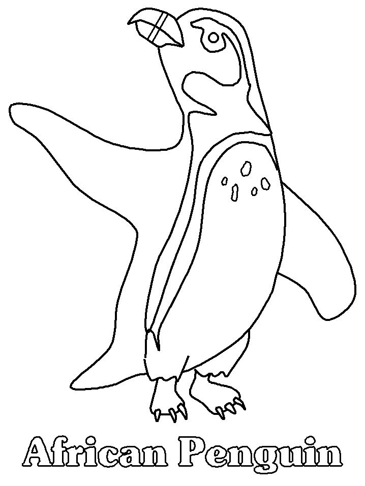 Disegno da colorare: Pinguino (Animali) #16847 - Pagine da Colorare Stampabili Gratuite