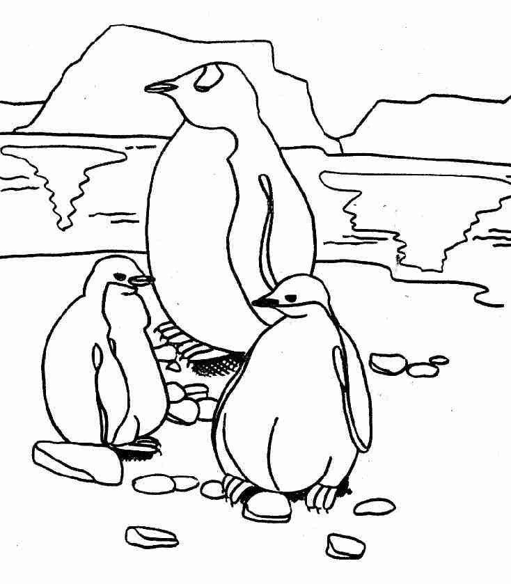 Disegno da colorare: Pinguino (Animali) #16876 - Pagine da Colorare Stampabili Gratuite