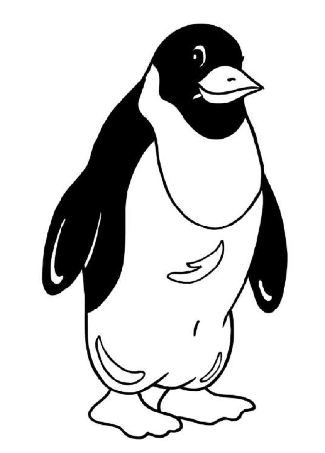 Disegno da colorare: Pinguino (Animali) #16882 - Pagine da Colorare Stampabili Gratuite