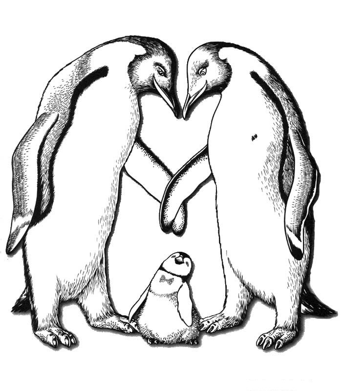 Disegno da colorare: Pinguino (Animali) #16884 - Pagine da Colorare Stampabili Gratuite