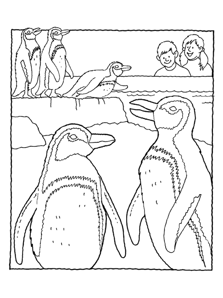 Disegno da colorare: Pinguino (Animali) #16901 - Pagine da Colorare Stampabili Gratuite