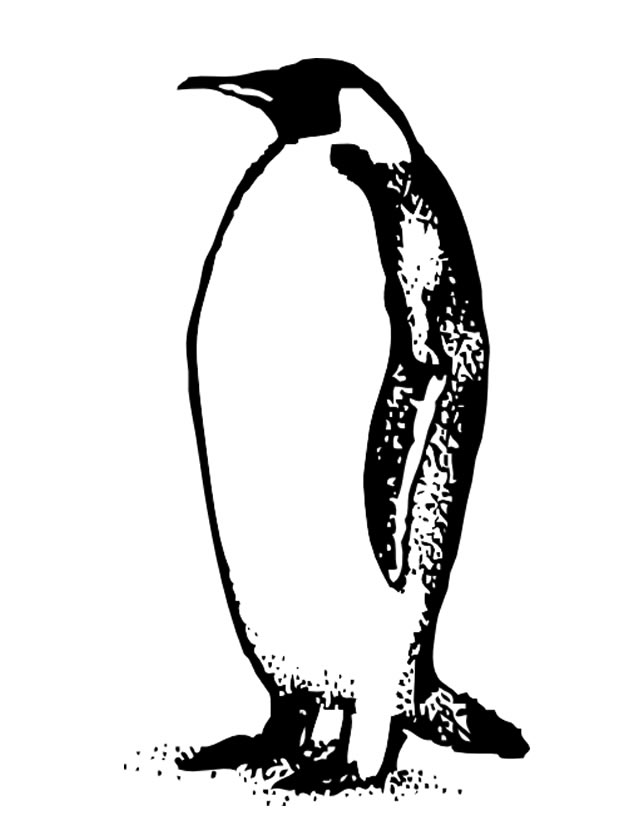 Disegno da colorare: Pinguino (Animali) #16905 - Pagine da Colorare Stampabili Gratuite
