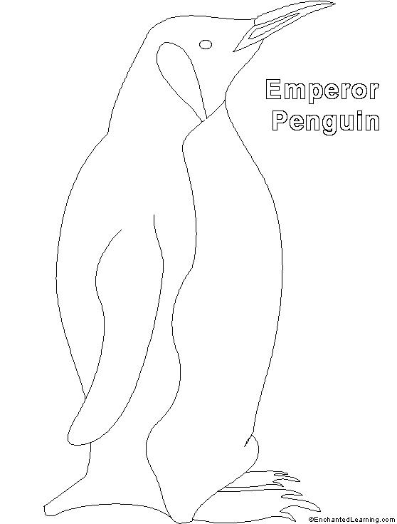 Disegno da colorare: Pinguino (Animali) #16994 - Pagine da Colorare Stampabili Gratuite