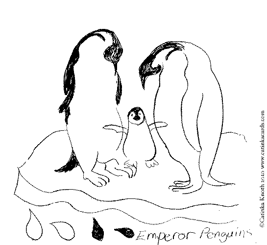 Disegno da colorare: Pinguino (Animali) #17005 - Pagine da Colorare Stampabili Gratuite