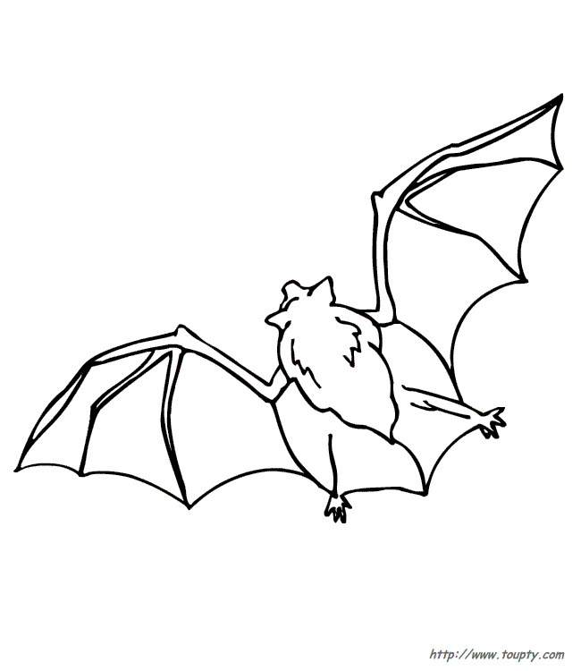 Disegno da colorare: Pipistrello (Animali) #1990 - Pagine da Colorare Stampabili Gratuite