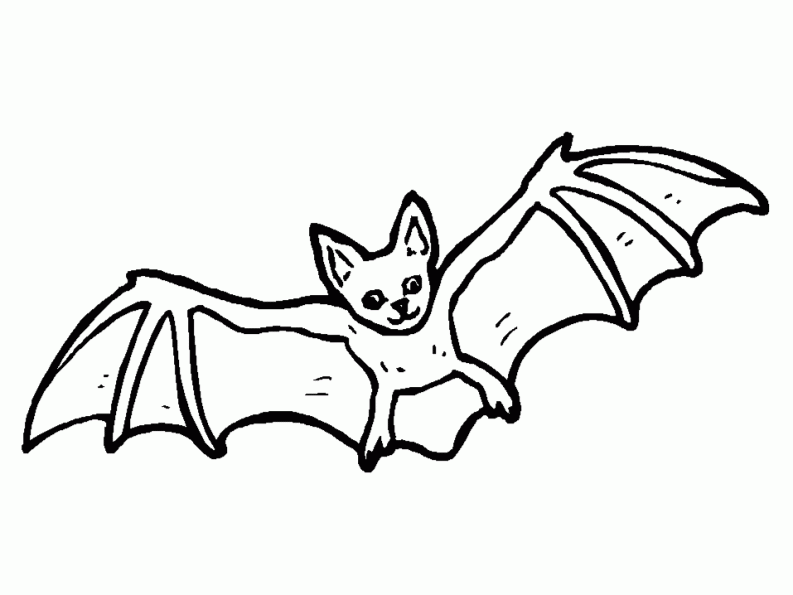Disegno da colorare: Pipistrello (Animali) #2008 - Pagine da Colorare Stampabili Gratuite