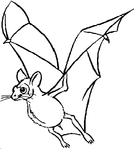 Disegno da colorare: Pipistrello (Animali) #2021 - Pagine da Colorare Stampabili Gratuite