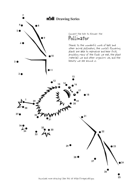 Disegno da colorare: Pipistrello (Animali) #2090 - Pagine da Colorare Stampabili Gratuite