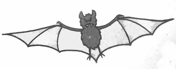 Disegno da colorare: Pipistrello (Animali) #2148 - Pagine da Colorare Stampabili Gratuite