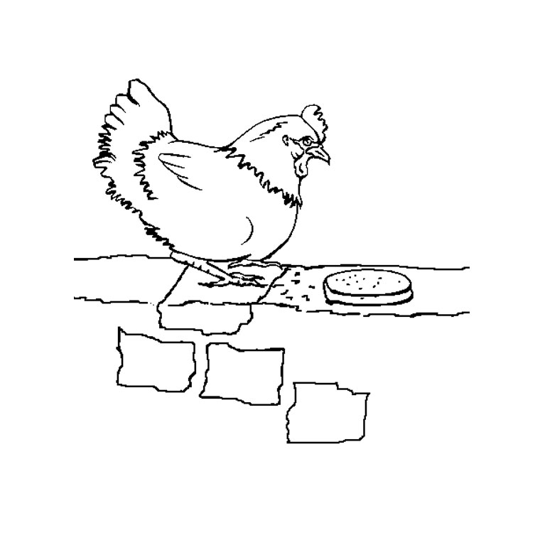 Disegno da colorare: Pollo (Animali) #17230 - Pagine da Colorare Stampabili Gratuite