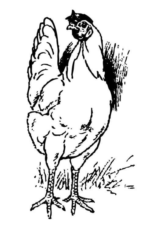 Disegno da colorare: Pollo (Animali) #17271 - Pagine da Colorare Stampabili Gratuite