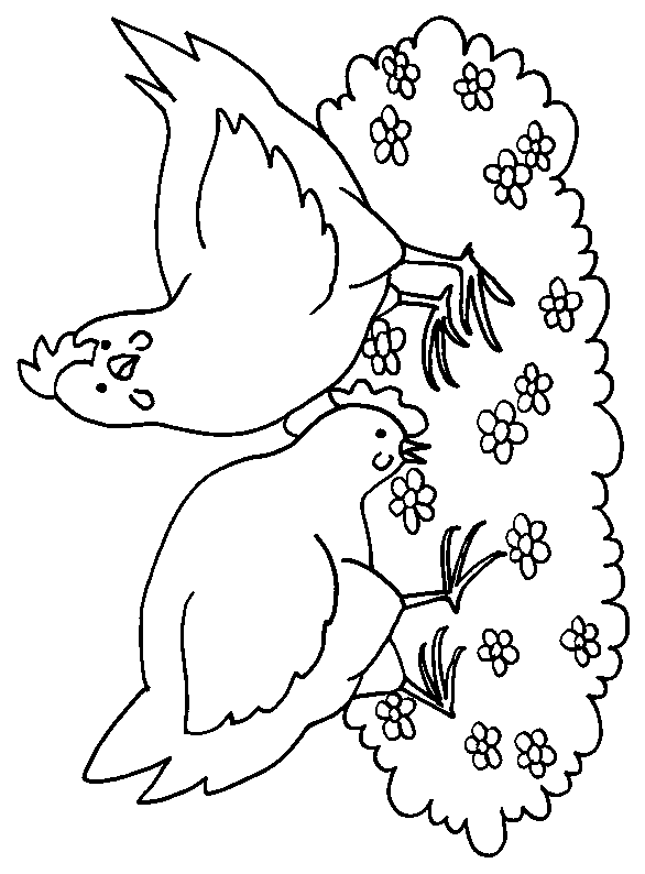 Disegno da colorare: Pollo (Animali) #17272 - Pagine da Colorare Stampabili Gratuite