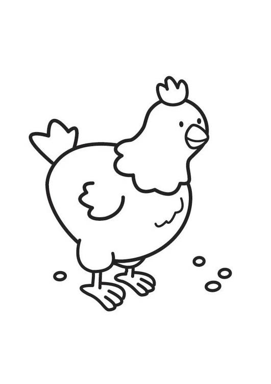 Disegno da colorare: Pollo (Animali) #17279 - Pagine da Colorare Stampabili Gratuite