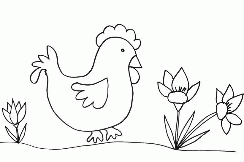 Disegno da colorare: Pollo (Animali) #17306 - Pagine da Colorare Stampabili Gratuite