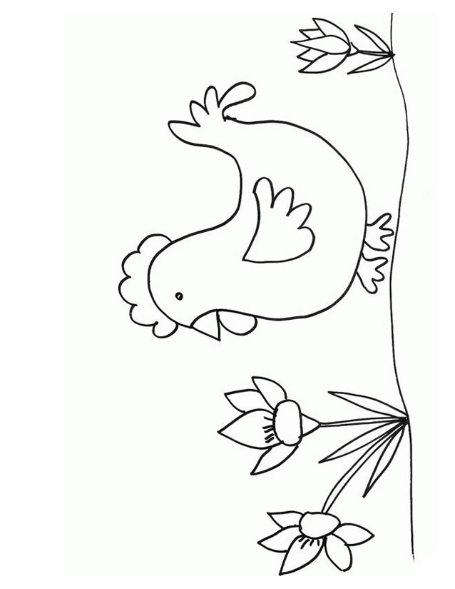 Disegno da colorare: Pollo (Animali) #17316 - Pagine da Colorare Stampabili Gratuite