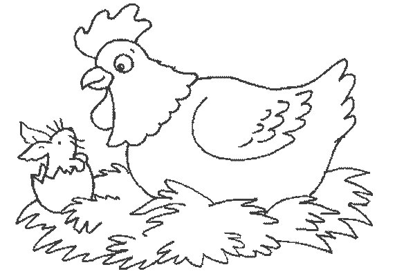 Disegno da colorare: Pollo (Animali) #17350 - Pagine da Colorare Stampabili Gratuite
