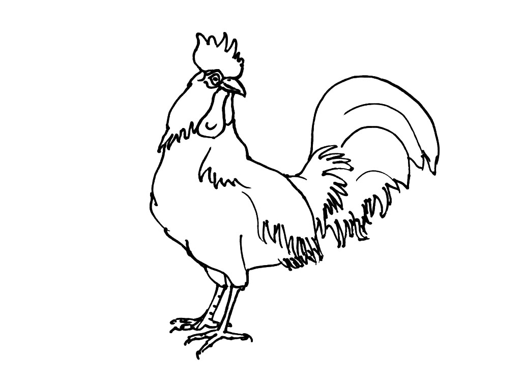 Disegno da colorare: Pollo (Animali) #17383 - Pagine da Colorare Stampabili Gratuite