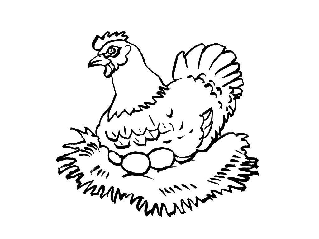Disegno da colorare: Pollo (Animali) #17397 - Pagine da Colorare Stampabili Gratuite