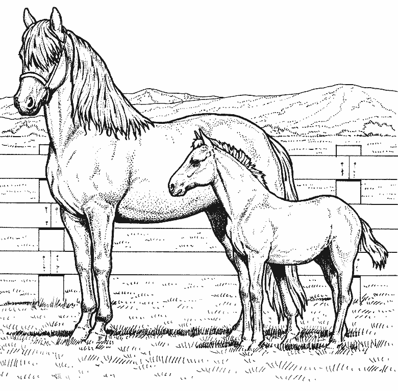 Disegno da colorare: Pony (Animali) #17967 - Pagine da Colorare Stampabili Gratuite