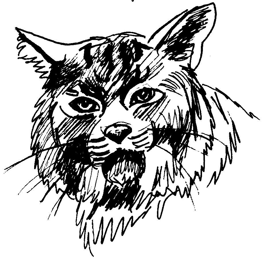 Disegno da colorare: Puma (Animali) #4398 - Pagine da Colorare Stampabili Gratuite