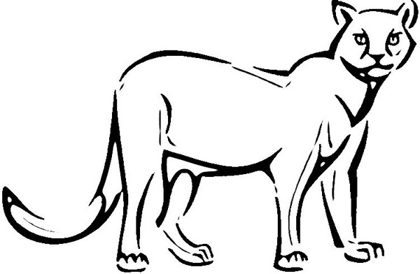 Disegno da colorare: Puma (Animali) #4441 - Pagine da Colorare Stampabili Gratuite