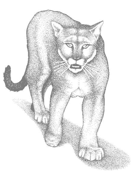 Disegno da colorare: Puma (Animali) #4444 - Pagine da Colorare Stampabili Gratuite