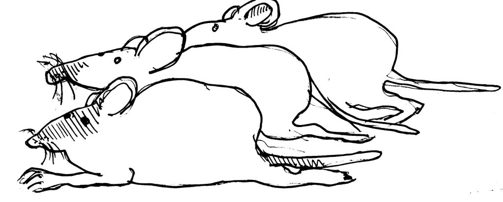 Disegno da colorare: Ratto (Animali) #15168 - Pagine da Colorare Stampabili Gratuite