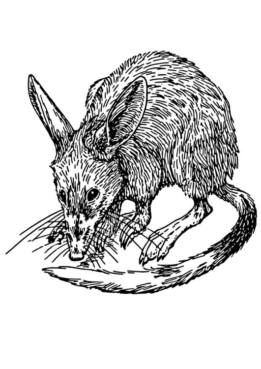 Disegno da colorare: Ratto (Animali) #15182 - Pagine da Colorare Stampabili Gratuite